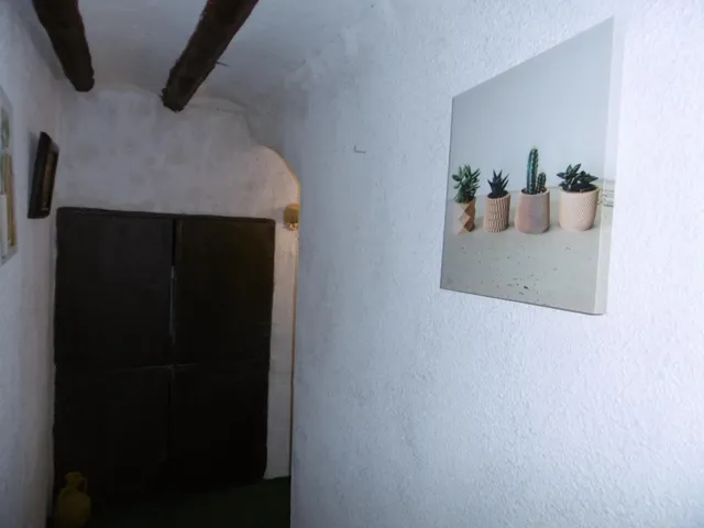 MASIA RÚSTICA PARA ENTRAR A VIVIR CERCA DE VALL D'ALBA — 27
