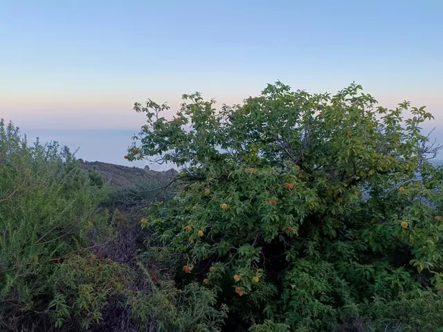 Terreno Rústico en el Encantador Paisaje de Siete Lomas, Ara - foto 3