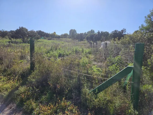 Terreno para recreo vallado y con acceso por camino asfaltado — 24