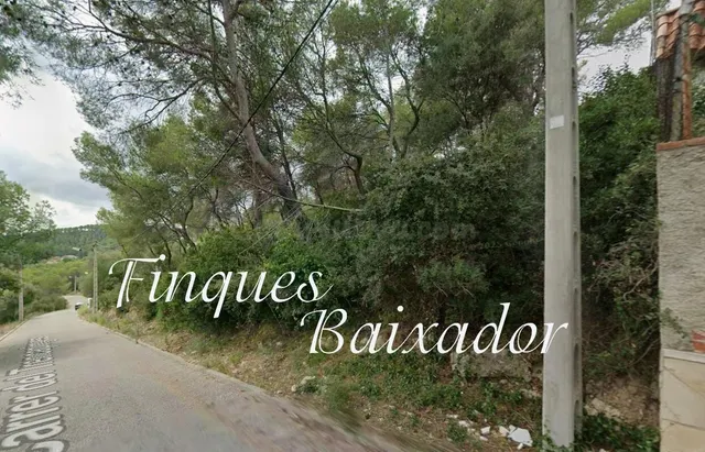 ¡FINQUES BAIXADOR PRESENTA ESTE SOLAR PARA CONSTRUIR TU CASA - foto 3