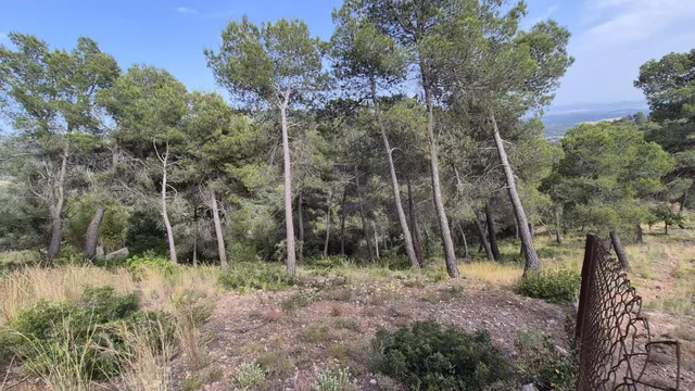 Terreny en venda a Sant Feliu del Racó – Entorn natural i vistes excepcionals — 10