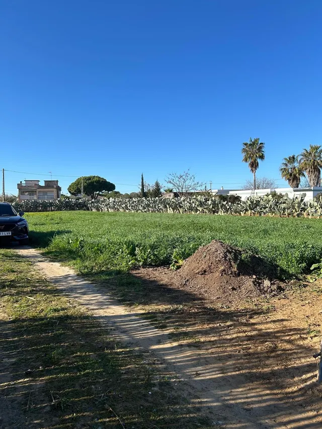 PARA LOS AMANTES DEL CAMPO Y NATURALEZA — 2