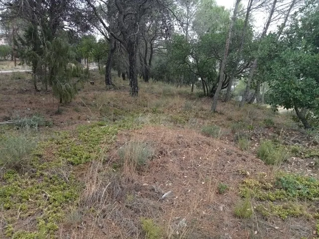 Parcela de 801m2 prácticamente llana, con muy buenas vistas — 4