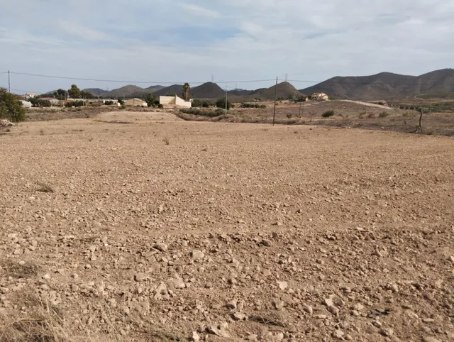 Parcela con licencia y proyecto en Lorca - Zona Purias — 5
