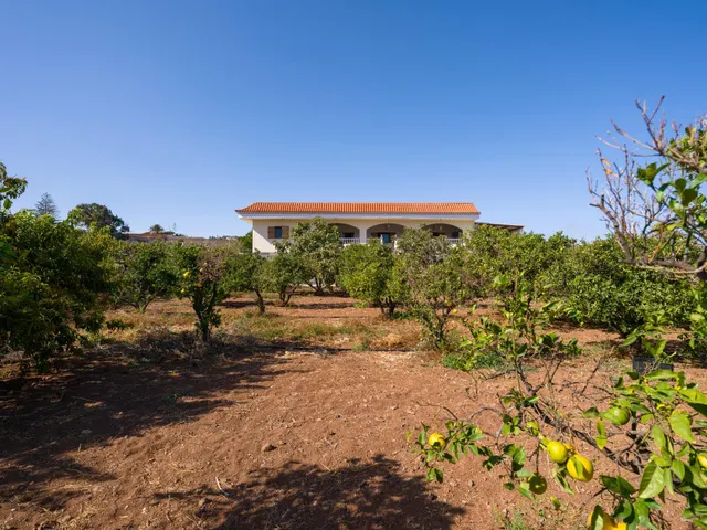 Finca rústica con amplia vivienda y azotea en Las Mejías – Ingenio, Gran Canaria — 7