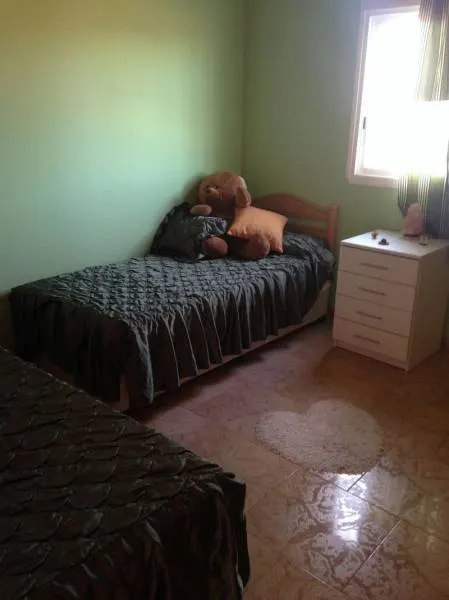 Chalet con terreno plantado — 13
