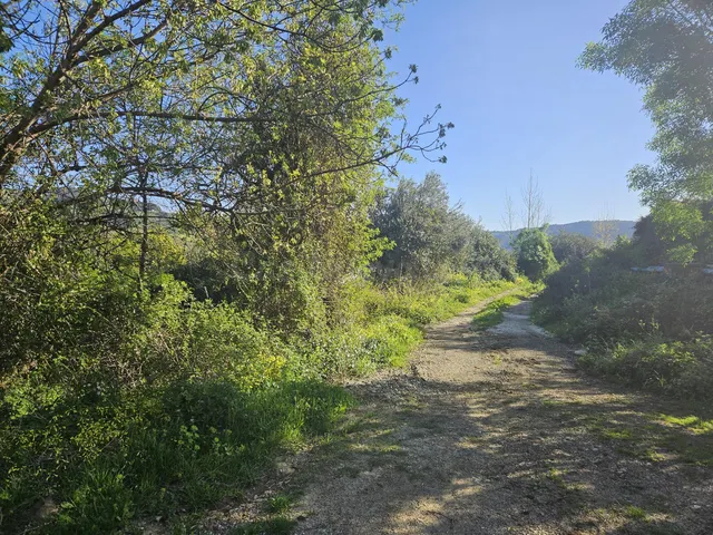 Finca rústica con olivos y cuadra en Casarabonela (Málaga) - foto 4