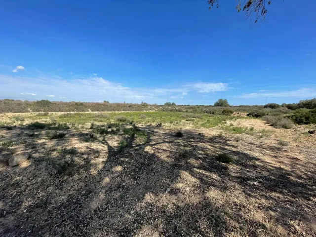 DISFRUTA DEL CAMPO A UN PASO DE LAS PLAYAS DE ELCHE — 8