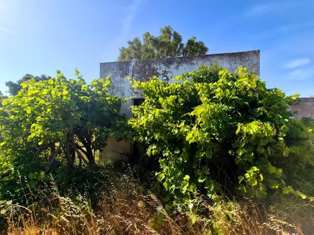 Tu refugio entre Vejer y el Atlántico — 8