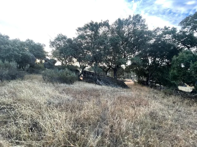 TERRENO RUSTICO EN MAJADACABRAS, ALDEA DEL CANO - foto 4