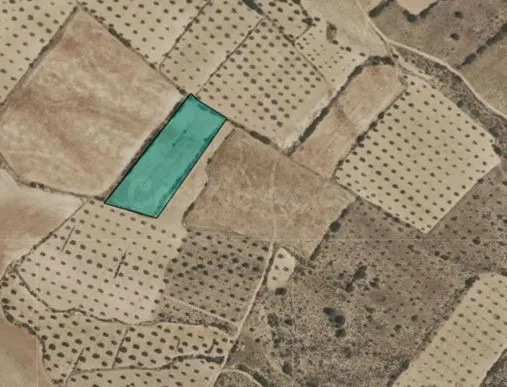 Parcela en venta - Ayuntamiento - foto 3