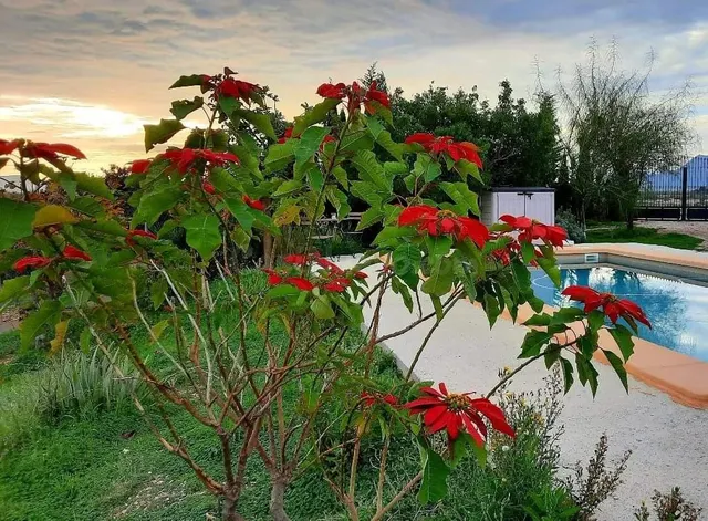 BONITA CASA DE CAMPO CON TERRENO Y PISCINA - foto 5