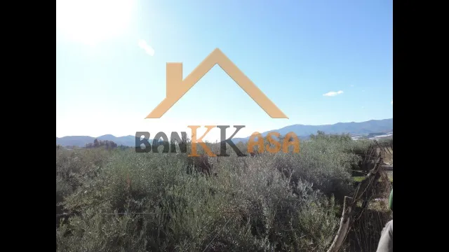 SE VENDE TERRERENO RURAL EN BERJA CON CORTIJO — 36