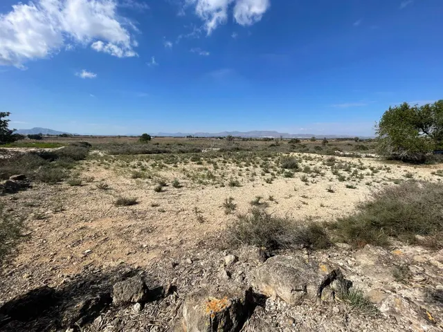 DISFRUTA DEL CAMPO A UN PASO DE LAS PLAYAS DE ELCHE — 9