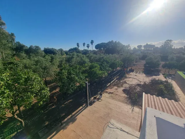 Finca rustica el pintado, Gibraleón — 35