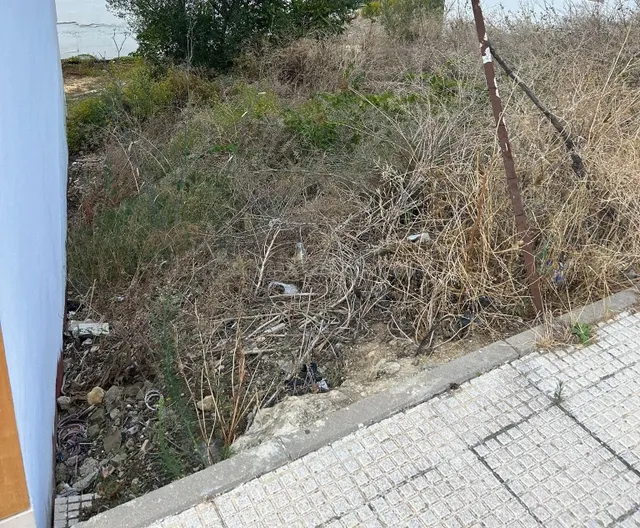 VENTA SOLAR. ZONA EXPANSIÓN - foto 3