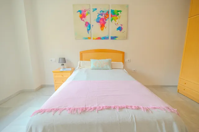 PISO EN CALLE EMILIA PARDO BAZAN 8 — 29