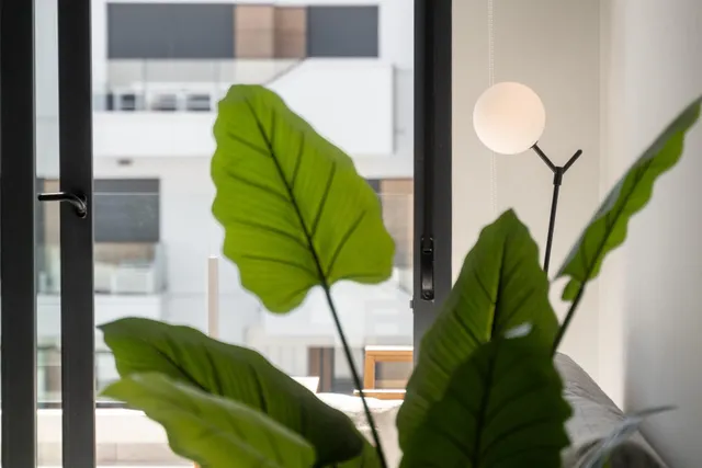Apartamento con Solarium en Villamartin — 19