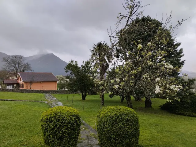 EN VENTA PRECIOSA PROPIEDAD EN EL VALLE DE MENA — 22