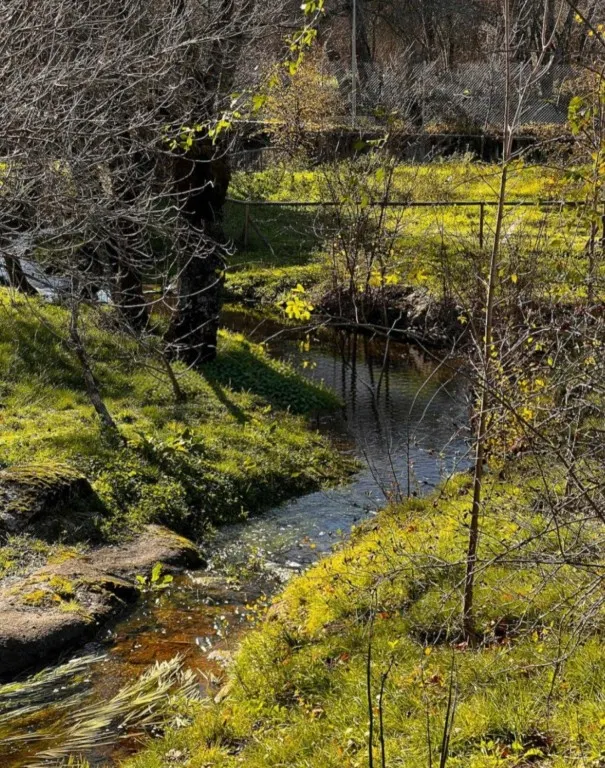 Espectacular Villa en el corazón de la sierra de Guadarrama — 33