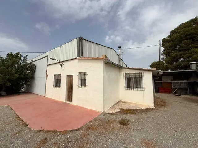 Finca rústica con cortijo, nave agrícola, olivar y derechos  - foto 3