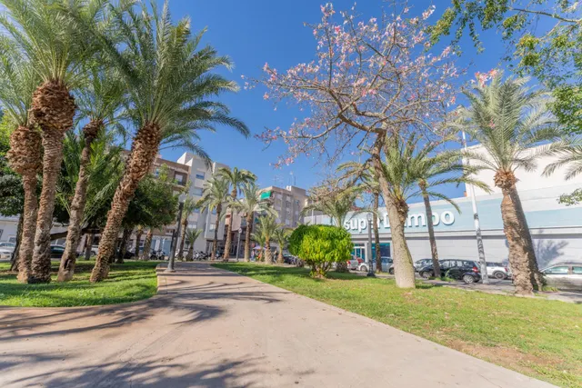¡Tu nuevo hogar a estrenar frente al parque en Altabix! — 27