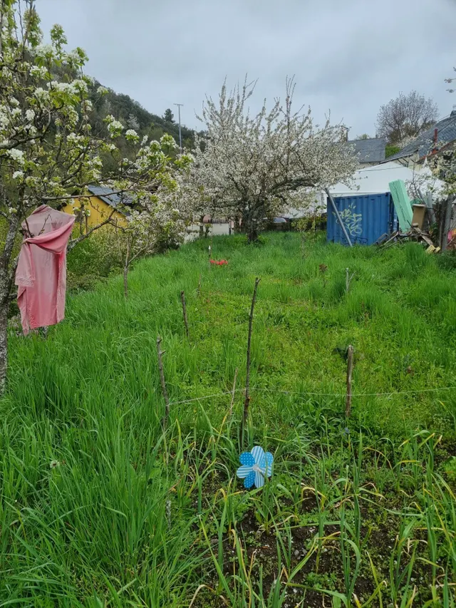 Venta casa con terreno en Tremor de Abajo — 7