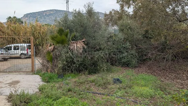 Parcela en venta - Puerto Sol-Los Almendros-El Tomillar — 3