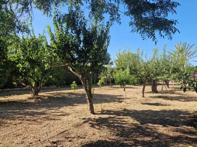 Finca rústica con dos viviendas, piscina y 56.000 m2 de tierras de regadío a 10 minutos de Jerez — 4