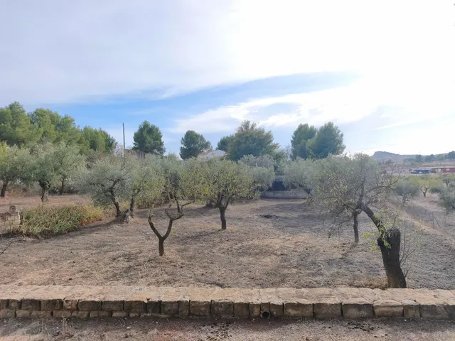 Terreno Rural en Almansa - San José a un Precio Inmejorable — 8