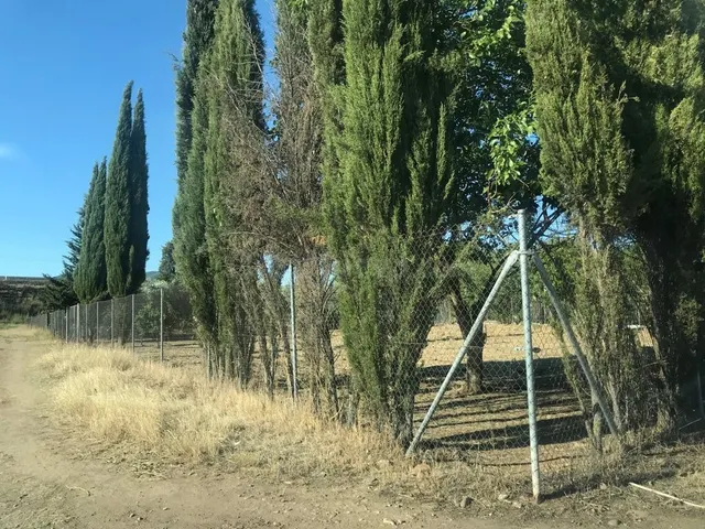 Parcela de terreno de 2700 m2 por la Barquera con fosa sépti - foto 3