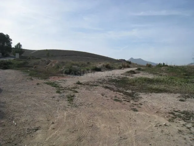 SE VENDE PARCELA RUSTICA EN ASPE ZONA UCHEL - foto 5