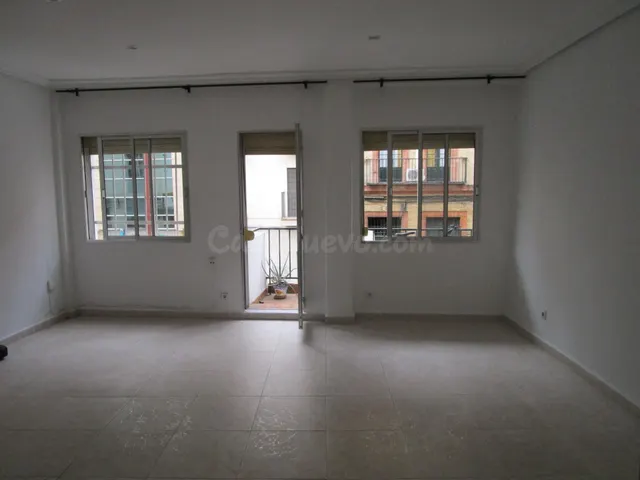 Triana, junto San Jacinto. Excelente piso de 2 habitaciones  - foto 4