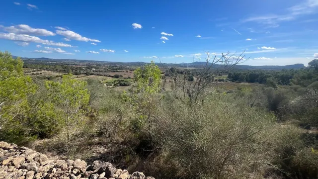 PARCELA RÚSTICA CON VISTAS Y LICENCIA - foto 5