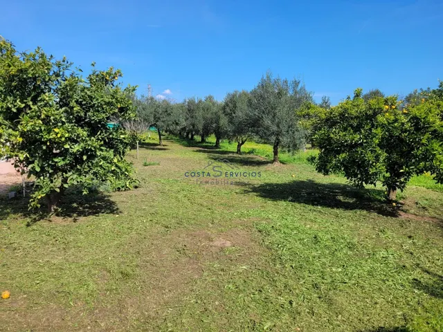 Finca Rustica En Gibraleon — 29