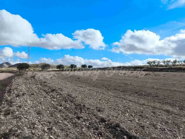 Suelo rústico en Venta en Jumilla Murcia — 7