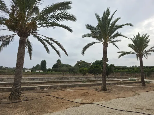 Exclusiva Finca con parcela llana en venta en Teulada - Amplias Posibilidades de Desarrollo — 35