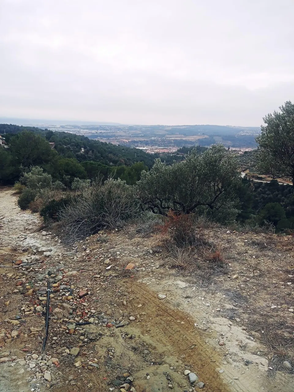 terreno Agrario