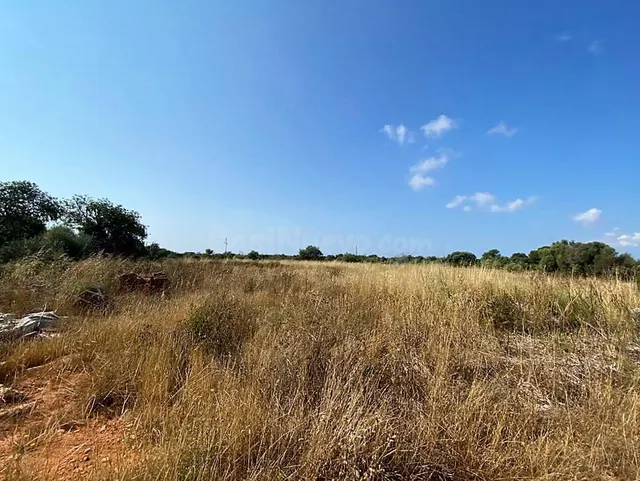 Finca rústica en zona de Ses Salines con proyecto de edifica - foto 4
