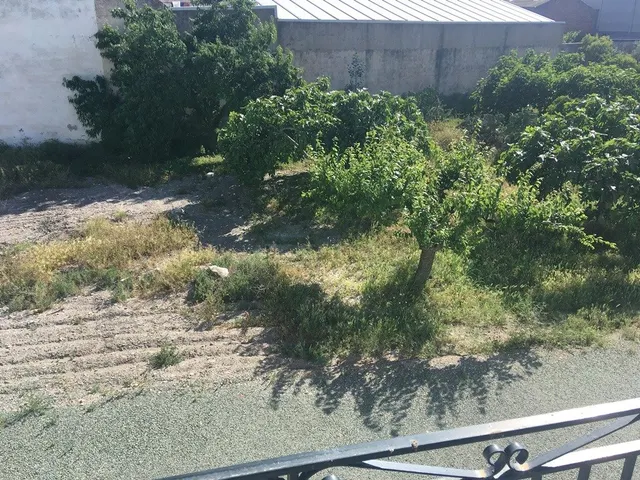 PARCELA BUENA SITUACIÓN EN PUERTO LUMBRERAS — 19