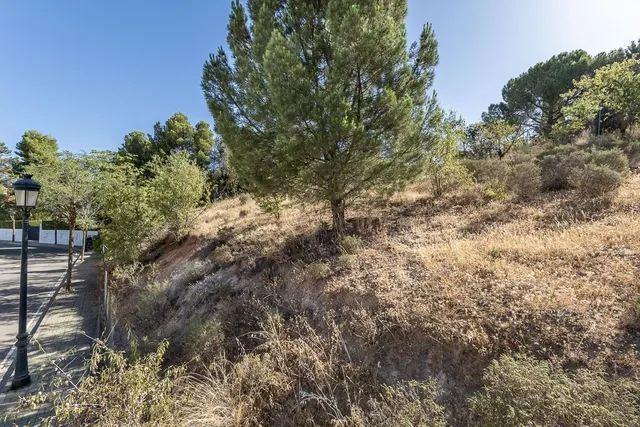 PARCELA 610 M2 EN CORTIJO DE LA LUZ, OTURA. — 8