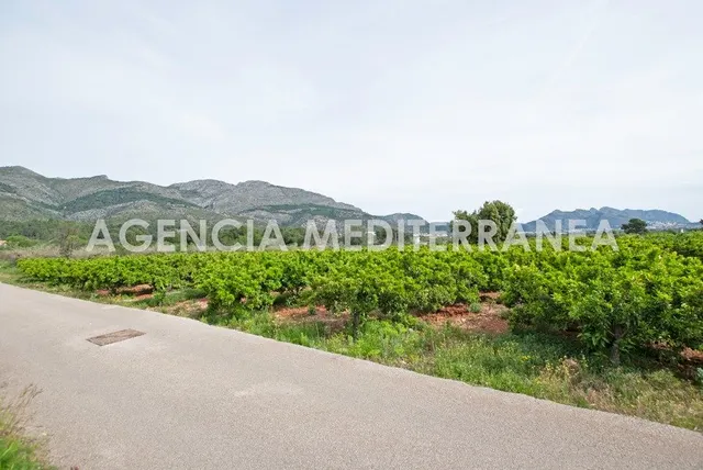 AMPLIA PARCELA URBANIZABLE PROXIMA ORBA CENTRO — 13