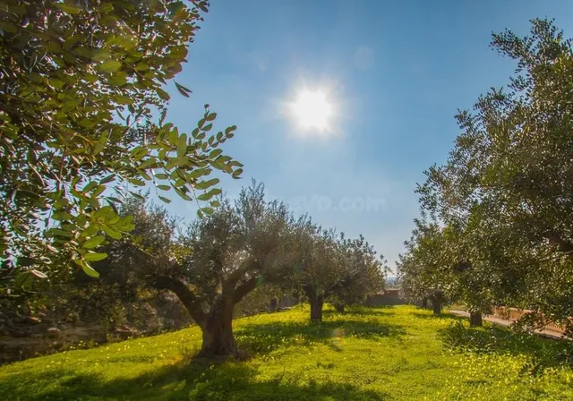 Casa rural en Teulada con piscina privada - foto 3