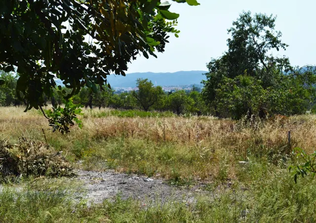 Casa tipica mallorquina en el secar de la real con 13.900 m2 posibilidad de segregar solar urbano — 18