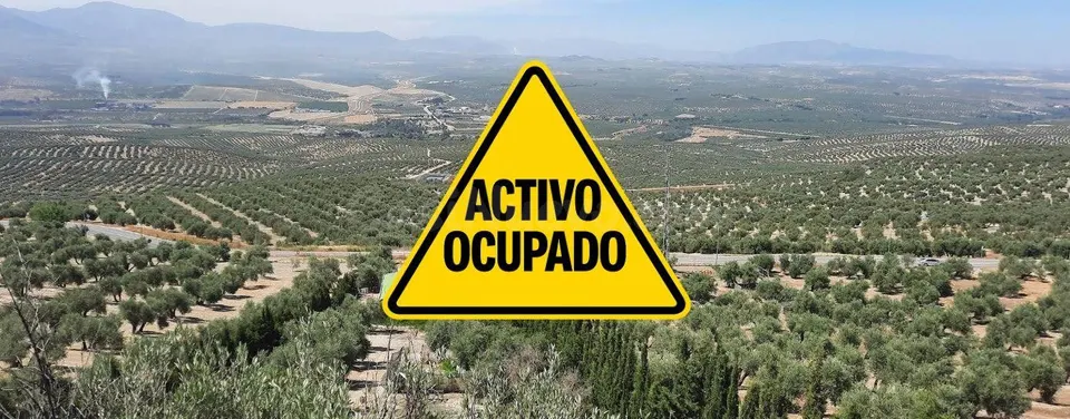 TERRENO EN BENJIMAR