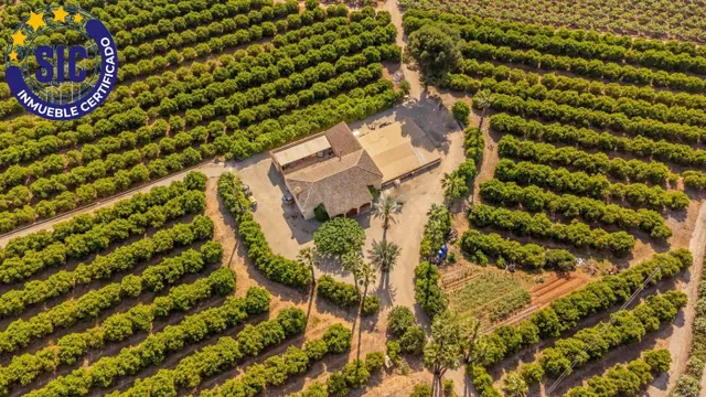 Villa rústica con campos de naranjas y caquis