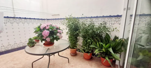 EDIFICIO DE 2 PLANTAS y 2 VIVIENDAS EN BARRIO DON JESÚS ALTA CALIDAD — 18