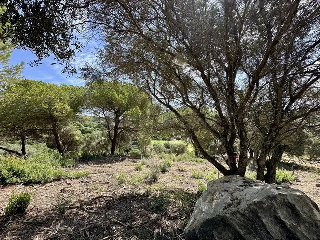 Parcela en venta - Sotogrande - Alto - foto 2