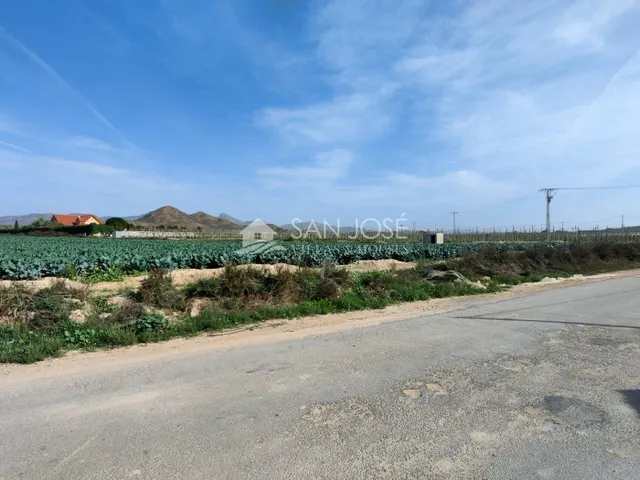 SE VENDE TERRENO RURAL EN MONFORTE DEL CID EN EL CAMINO SAN VICENTE — 4