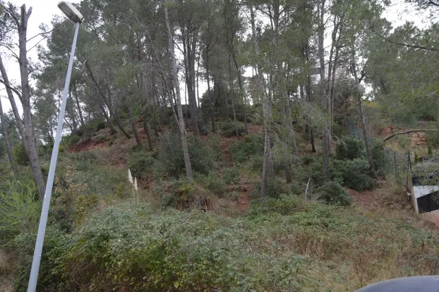 PARCELA EN VENTA EN EL MEJOR SITIO DE CORBERA DE LLOBREGAT (BARCELONA) — 11